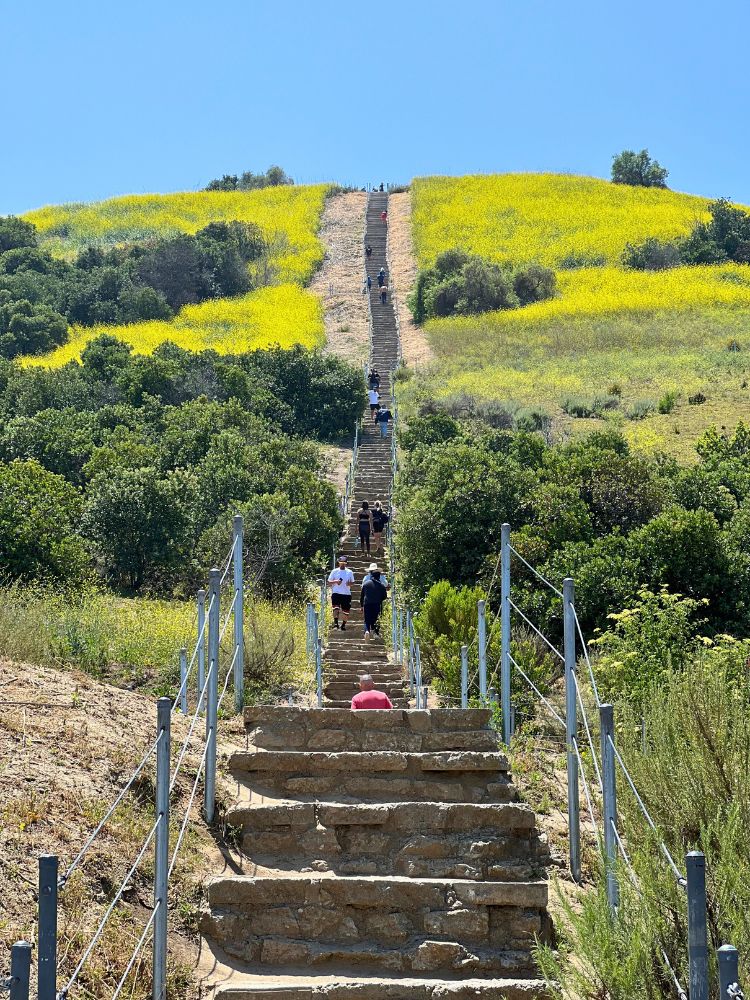 Baldwin Hills Scenic Overlook
